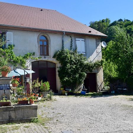 Spacious Apartment In Old Farm Close To Lac De Vouglans La Tour-du-Meix エクステリア 写真