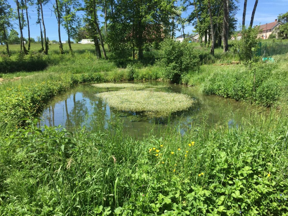 Spacious Apartment In Old Farm Close To Lac De Vouglans La Tour-du-Meix エクステリア 写真